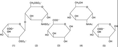 Structure (51662 1687 Structure1)